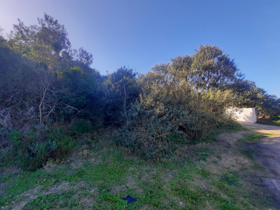 0 Bedroom Property for Sale in Cola Beach Western Cape